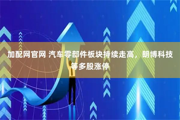 加配网官网 汽车零部件板块持续走高，朗博科技等多股涨停
