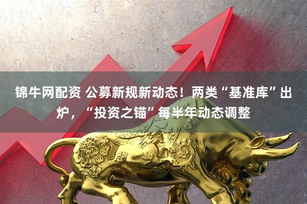 锦牛网配资 公募新规新动态！两类“基准库”出炉，“投资之锚”每半年动态调整