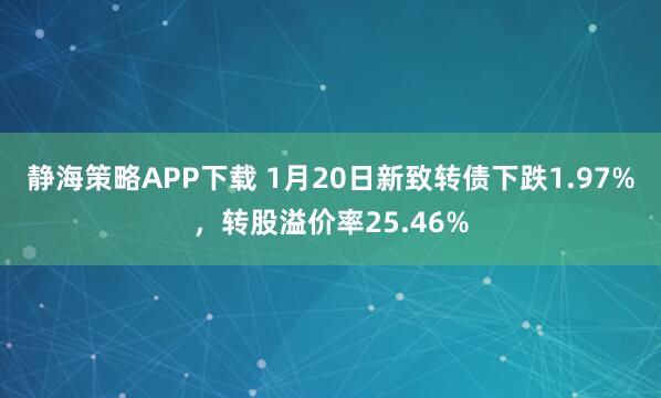 静海策略APP下载 1月20日新致转债下跌1.97%，转股溢价率25.46%